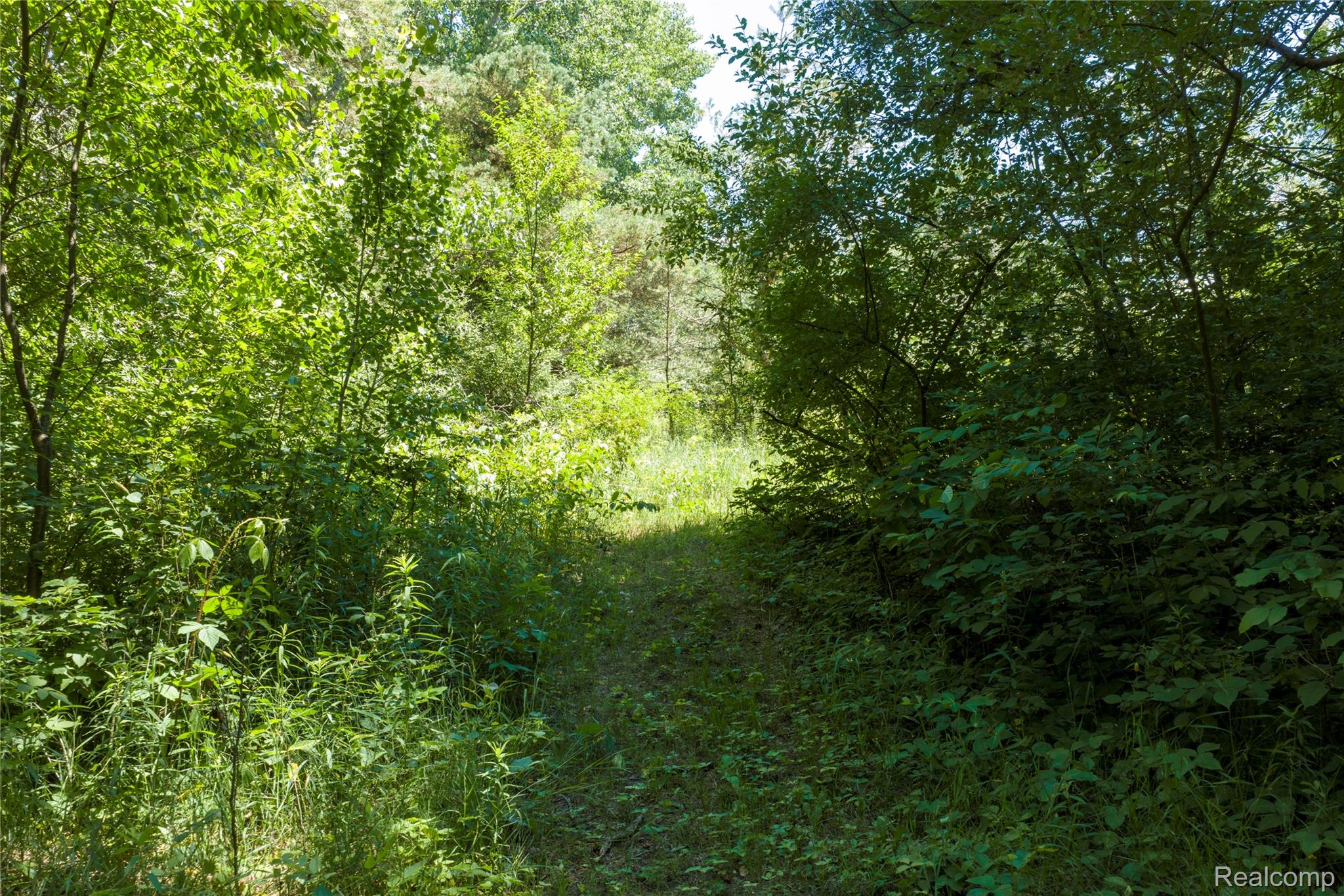 Parcel B Parcel B Dodge Road Cass City, MI 48726 - Photo 14 of 16 14.jpg