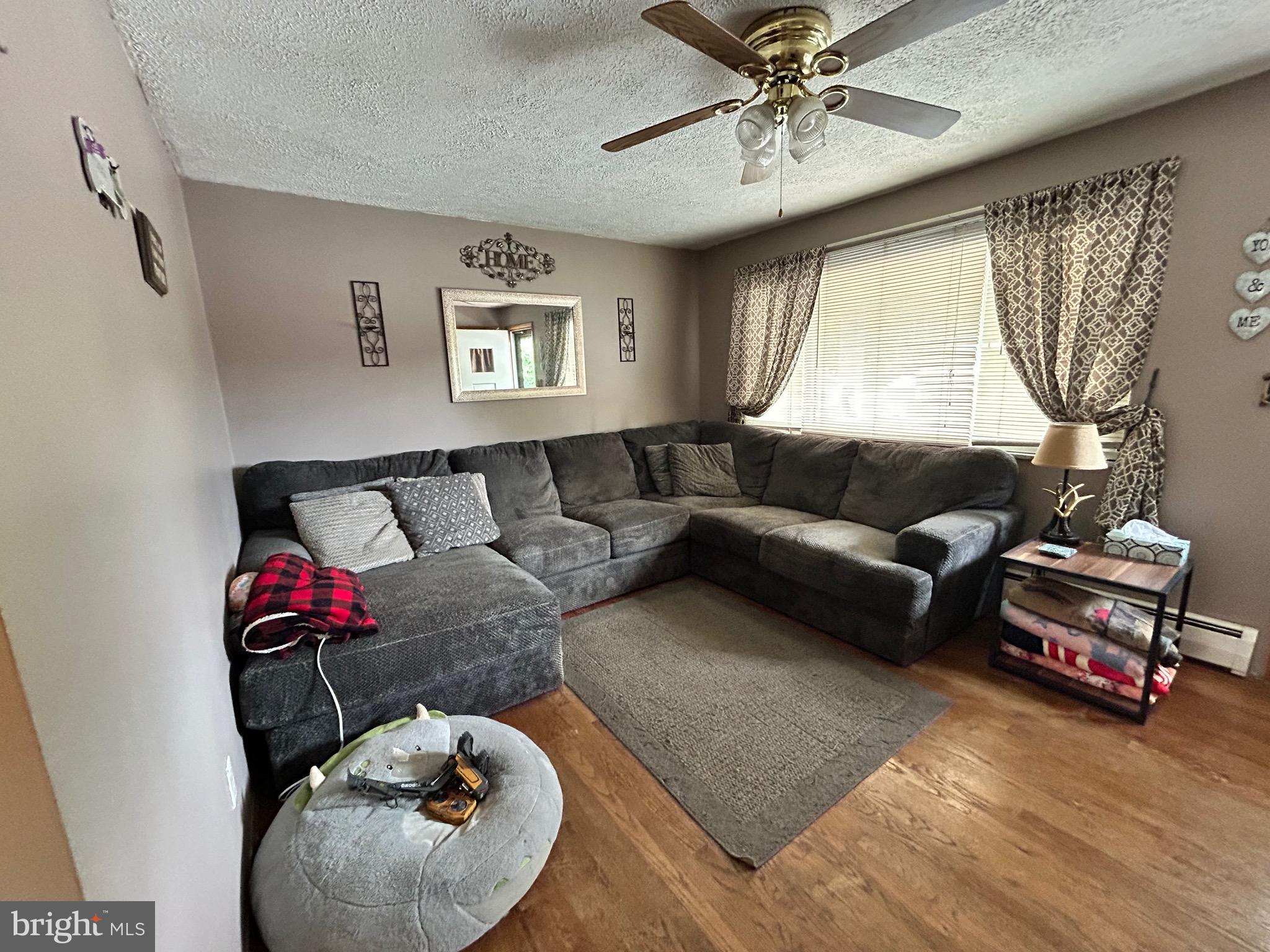 19006 Legion Road Barton, MD 21521 - Photo 9 of 22