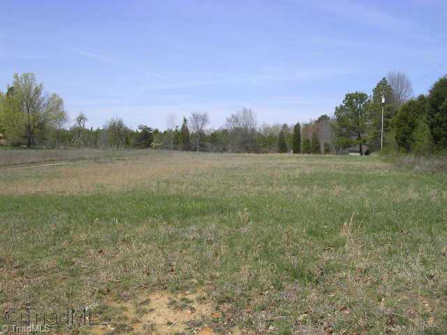 2422 Coltrane Mill Road Archdale, NC 27263 - Photo 3 of 5 Other. Road view of the other side of the property looking towards the 2nd home site.