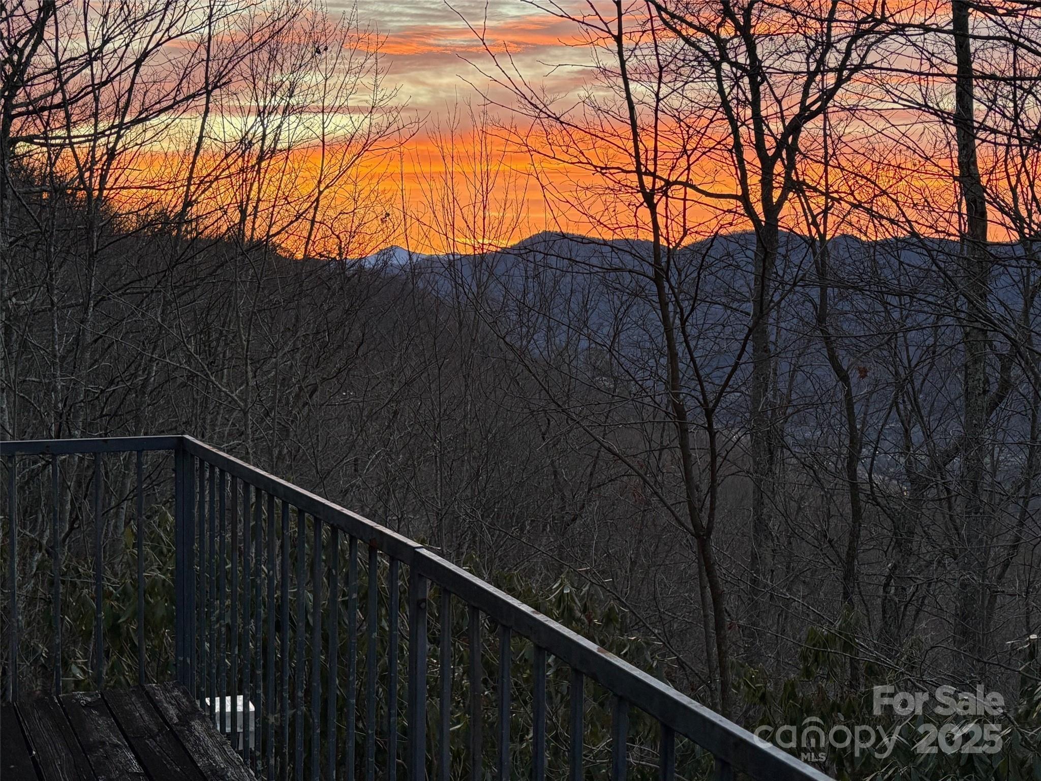 860 Pless Underwood Road Maggie Valley, NC 28751 - Photo 20 of 45 a backyard of a house with lots of green space