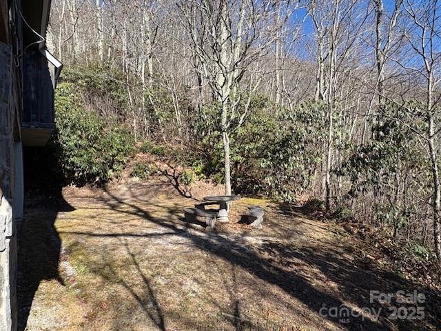 860 Pless Underwood Road Maggie Valley, NC 28751 - Photo 28 of 45 a view of a yard with some trees