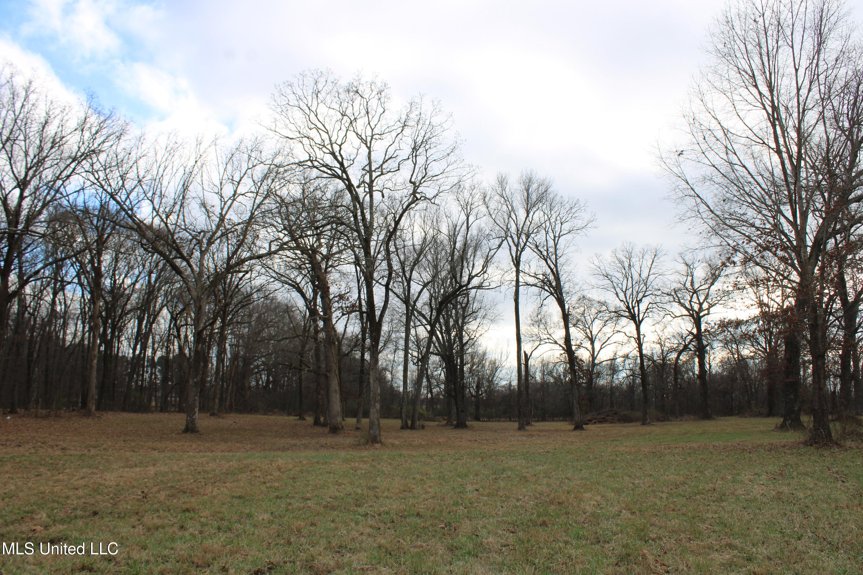 2001 West Oak Grove Road Hernando, MS 38632 - Photo 14 of 44 IMG_5403