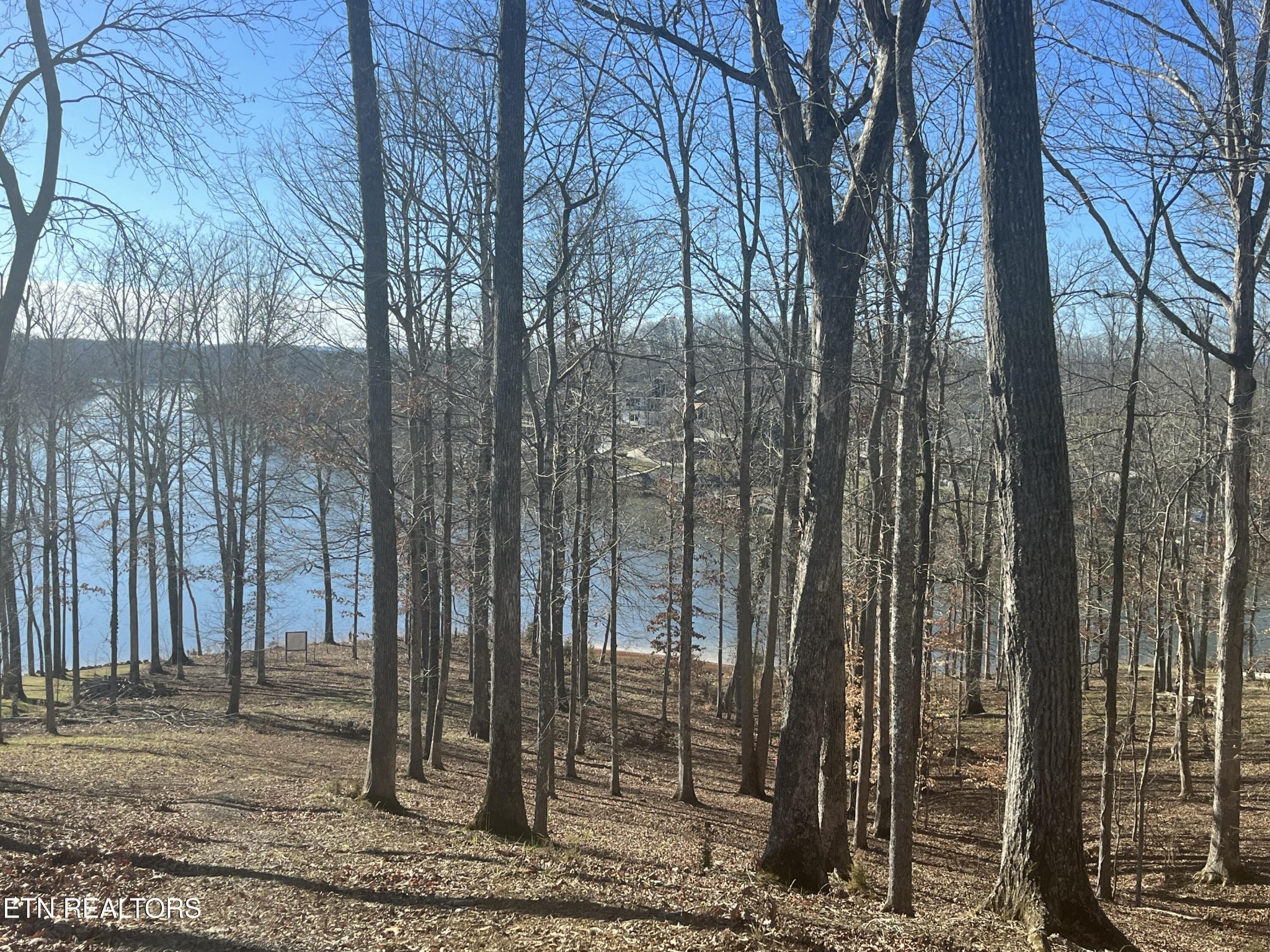 64 Edgewater Way Ten Mile, TN 37880 - Photo 6 of 17 Gallery Image 6