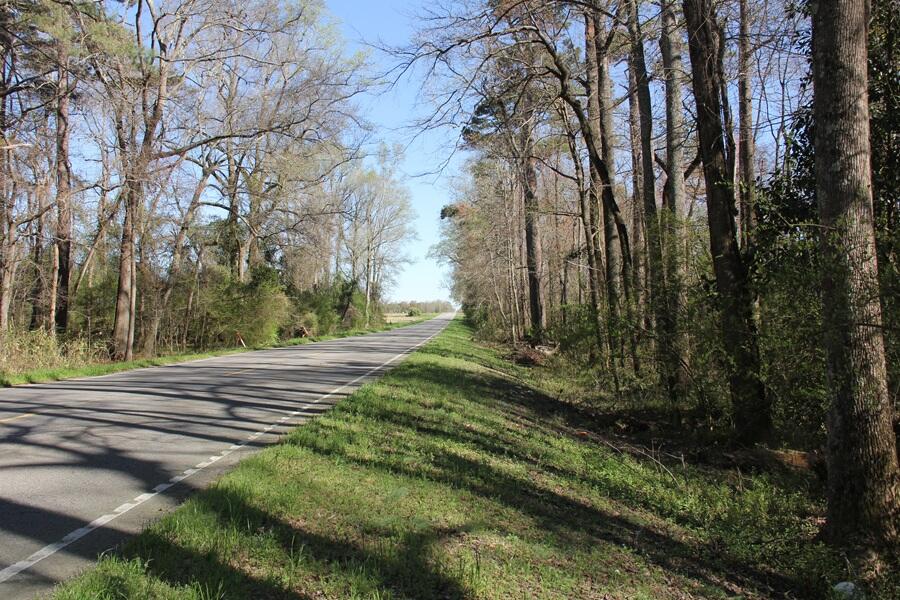 2508 Bonnette Road Norway, SC 29113 - Photo 54 of 58 IMG_9478