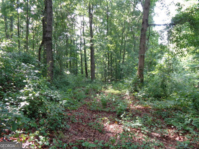 2411 Kesler Road Carnesville, GA 30521 - Photo 7 of 11