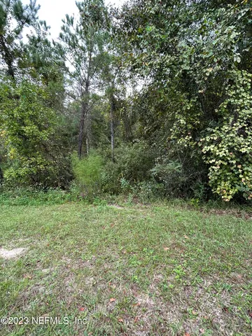 a view of a lush green space