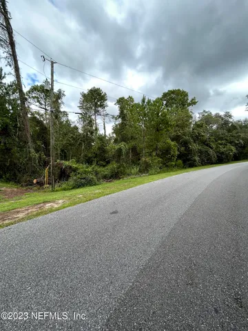 a view of a big yard with potted plants