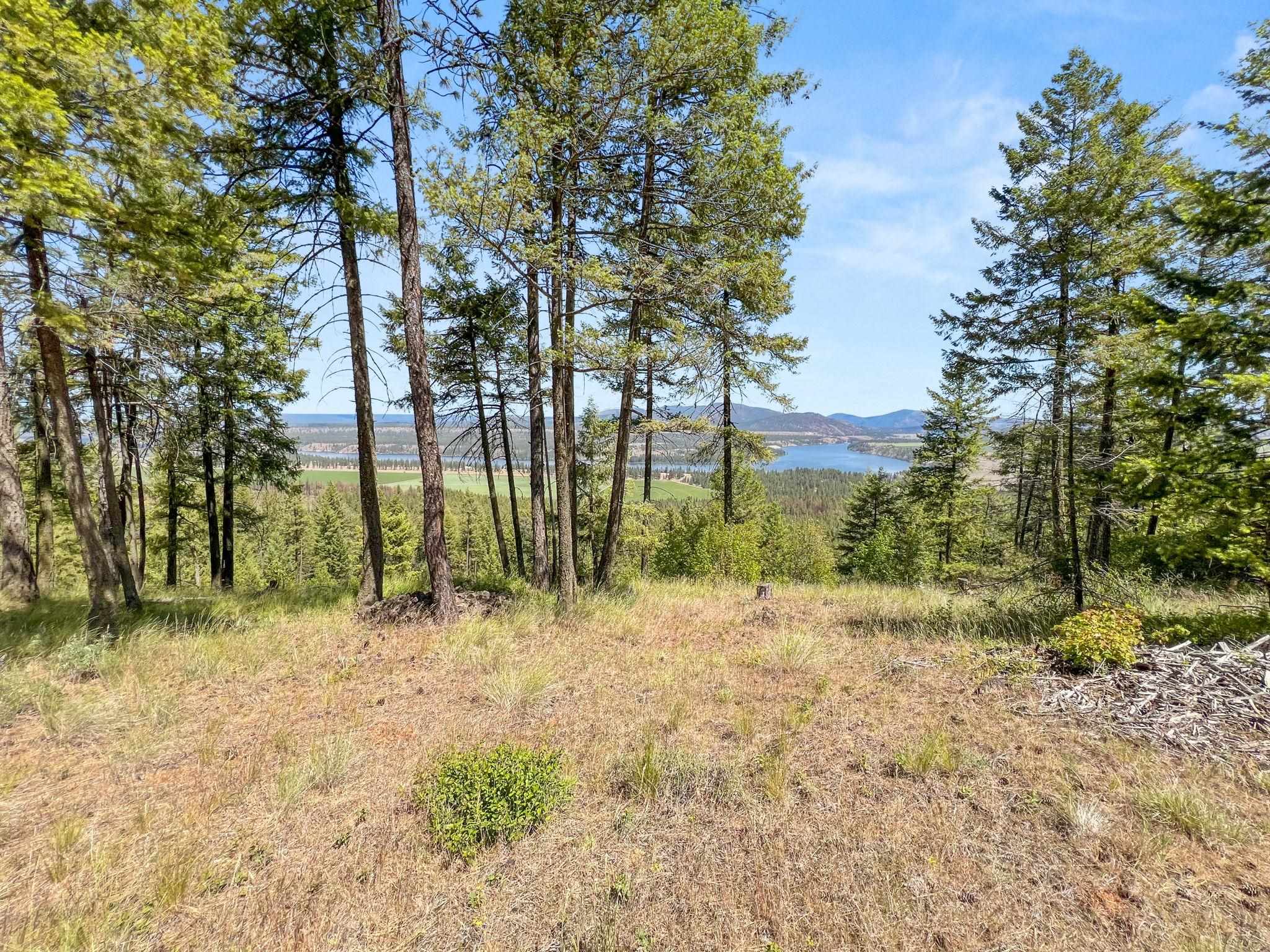 0 West Highland Road Ford, WA 99013 - Photo 25 of 41