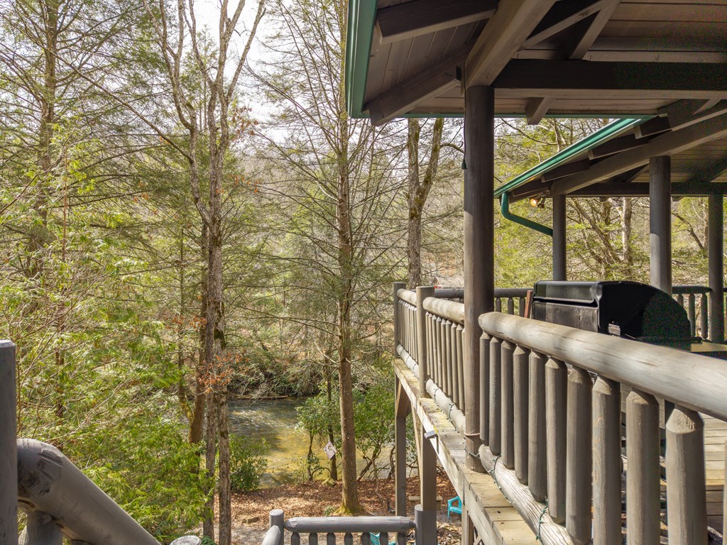 252 Branch Creek Road Blue Ridge, GA 30513 - Photo 12 of 79 Gallery Image 12