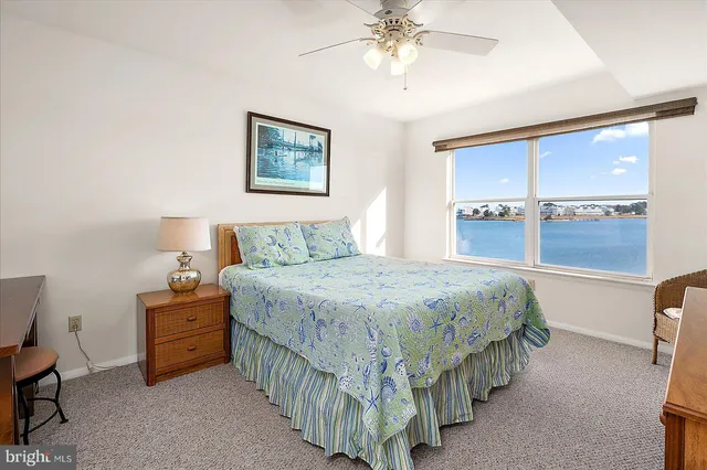 a view of an ocean and beach