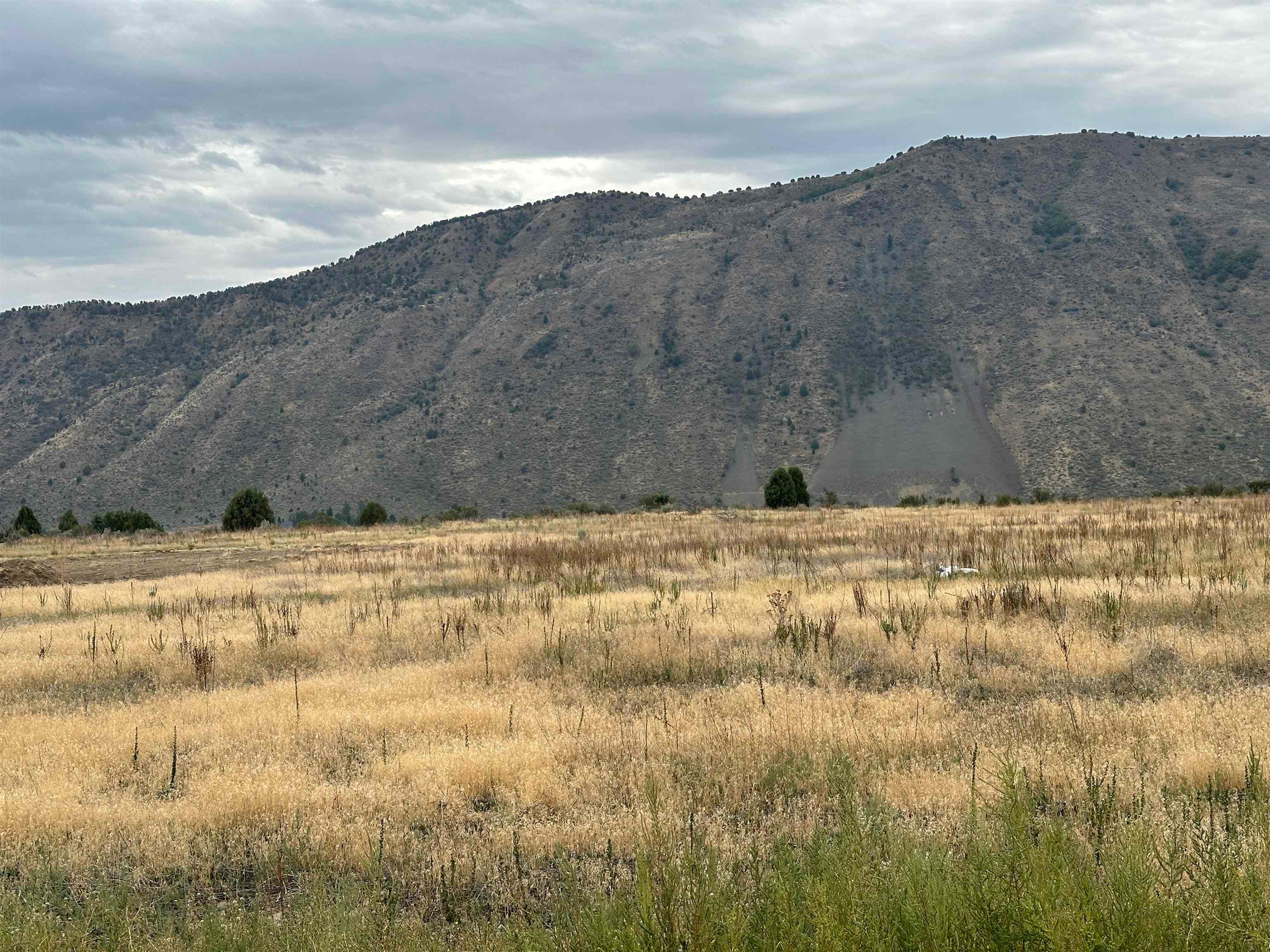 Lot 4 Utah Drive Inkom, ID 83245 - Photo 5 of 7 Gallery Image 5