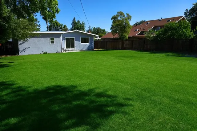a view of a house with a yard and a large tree