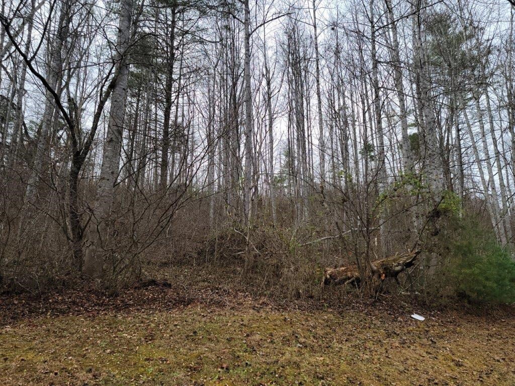 2743 Max Creek Road Hiwassee, VA 24347 - Photo 25 of 25 Gallery Image 25