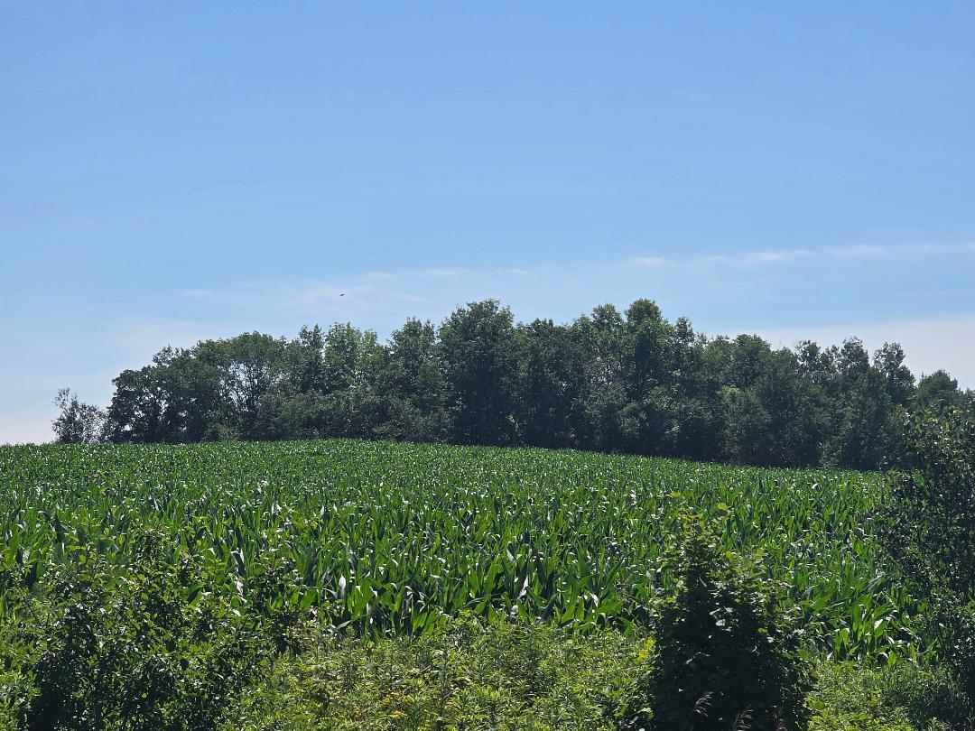 0 110th Frederic, WI 54837 - Photo 1 of 11