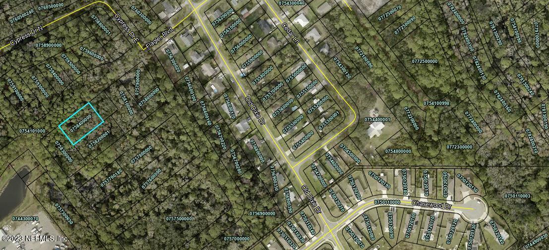 0 Flagler Boulevard St. Augustine, FL 32095 - Photo 11 of 13 a picture of a tree