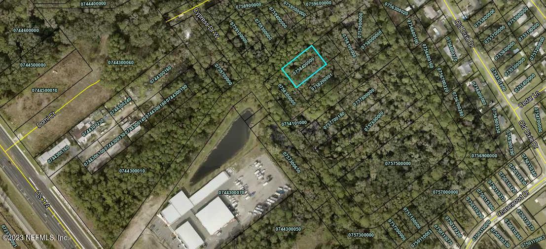 0 Flagler Boulevard St. Augustine, FL 32095 - Photo 12 of 13 a view of a tree in a forest