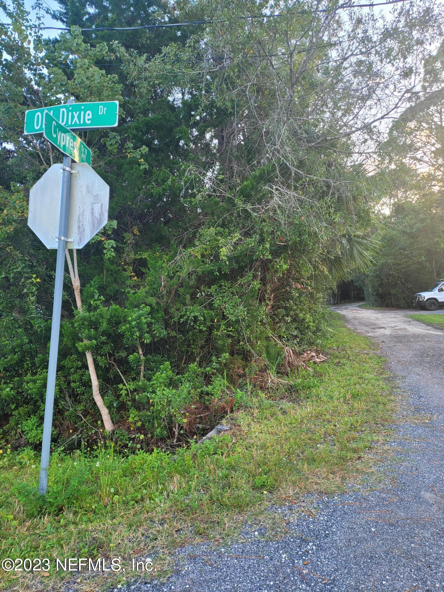 0 Flagler Boulevard St. Augustine, FL 32095 - Photo 6 of 13 a view of a backyard