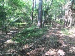 0 Flagler Boulevard St. Augustine, FL 32095 - Photo 7 of 13 a view of forest