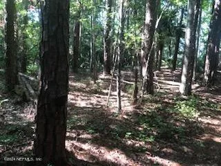 a view of outdoor space with lots of trees