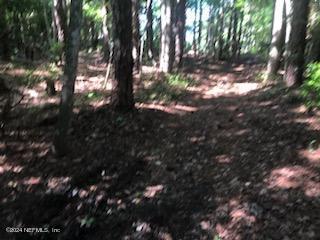 0 Flagler Boulevard St. Augustine, FL 32095 - Photo 9 of 13 a view of tree