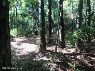 0 Flagler Boulevard St. Augustine, FL 32095 - Photo 10 of 13 a view of a forest with trees