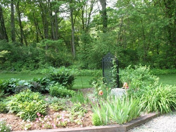 Gallery Image 7