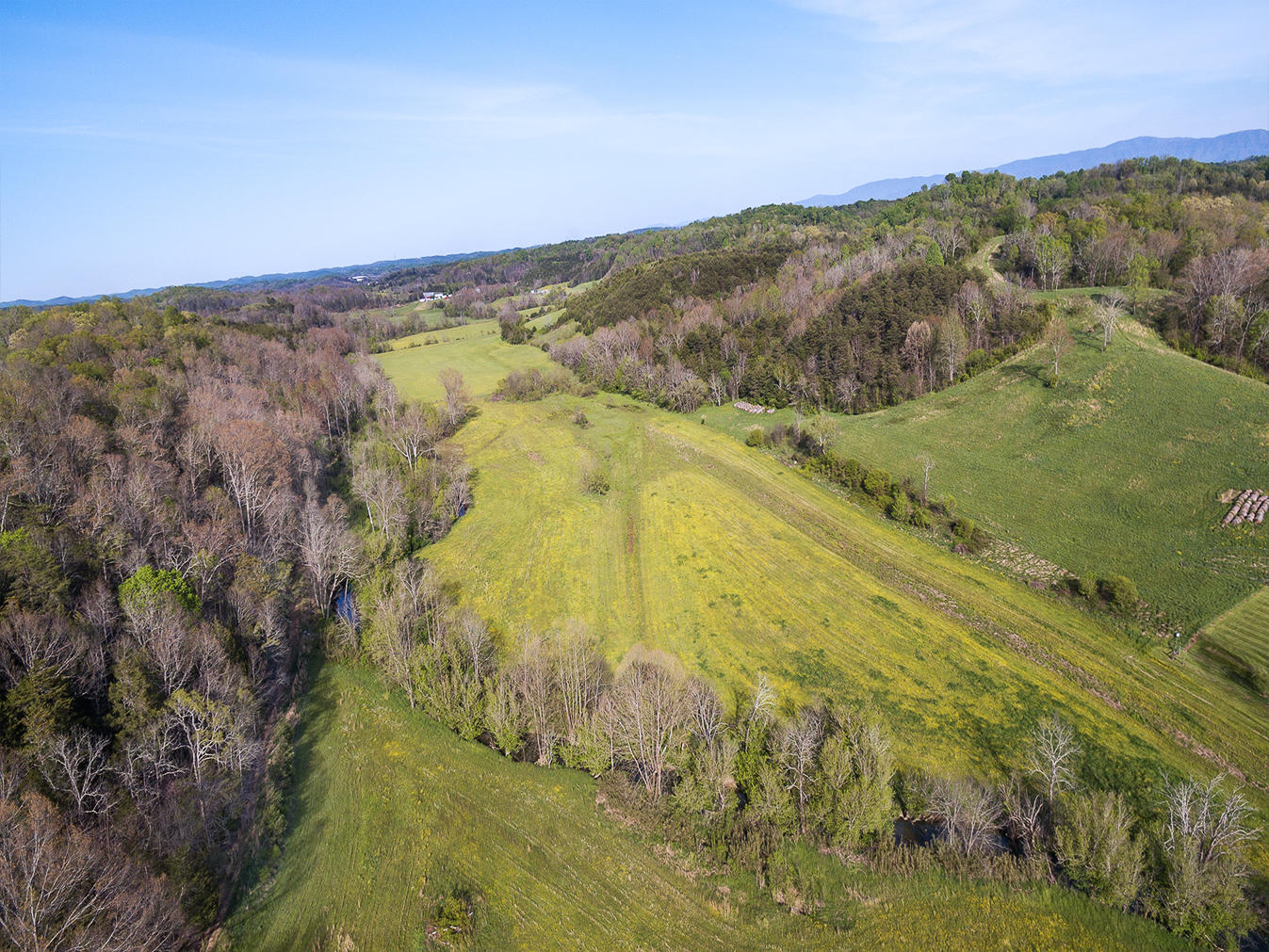 Tbd Shackleford Road, Unit 12 Mosheim, TN 37818 - Photo 6 of 15 D_Neas_Shackleford-RD-LNA_0004
