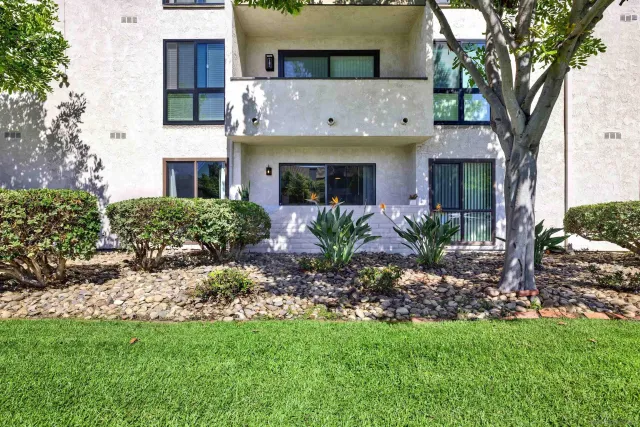 a view of a city with flower plants