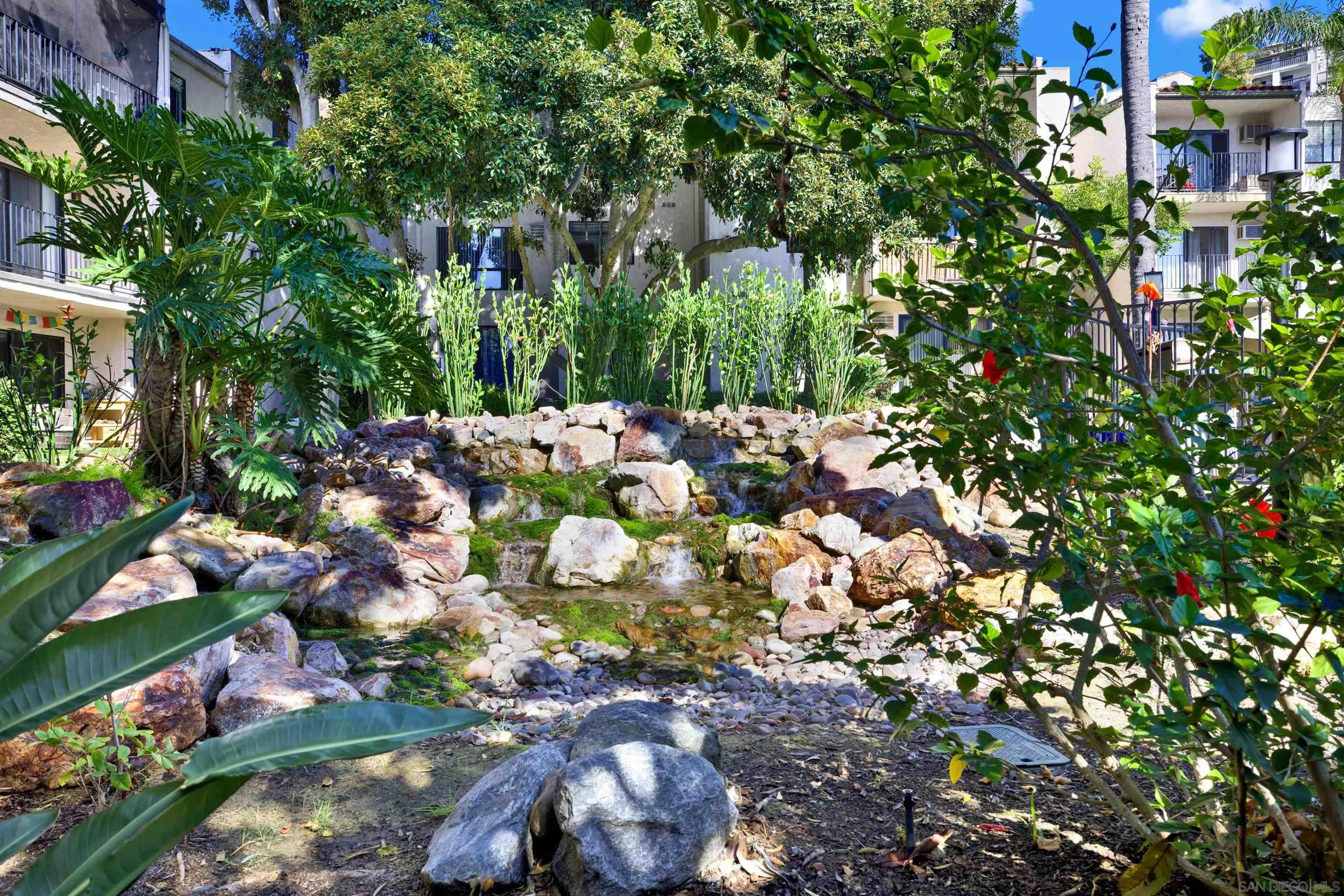 6780 Friars Road, Unit 153 San Diego, CA 92108 - Photo 20 of 21 a picture of flowers