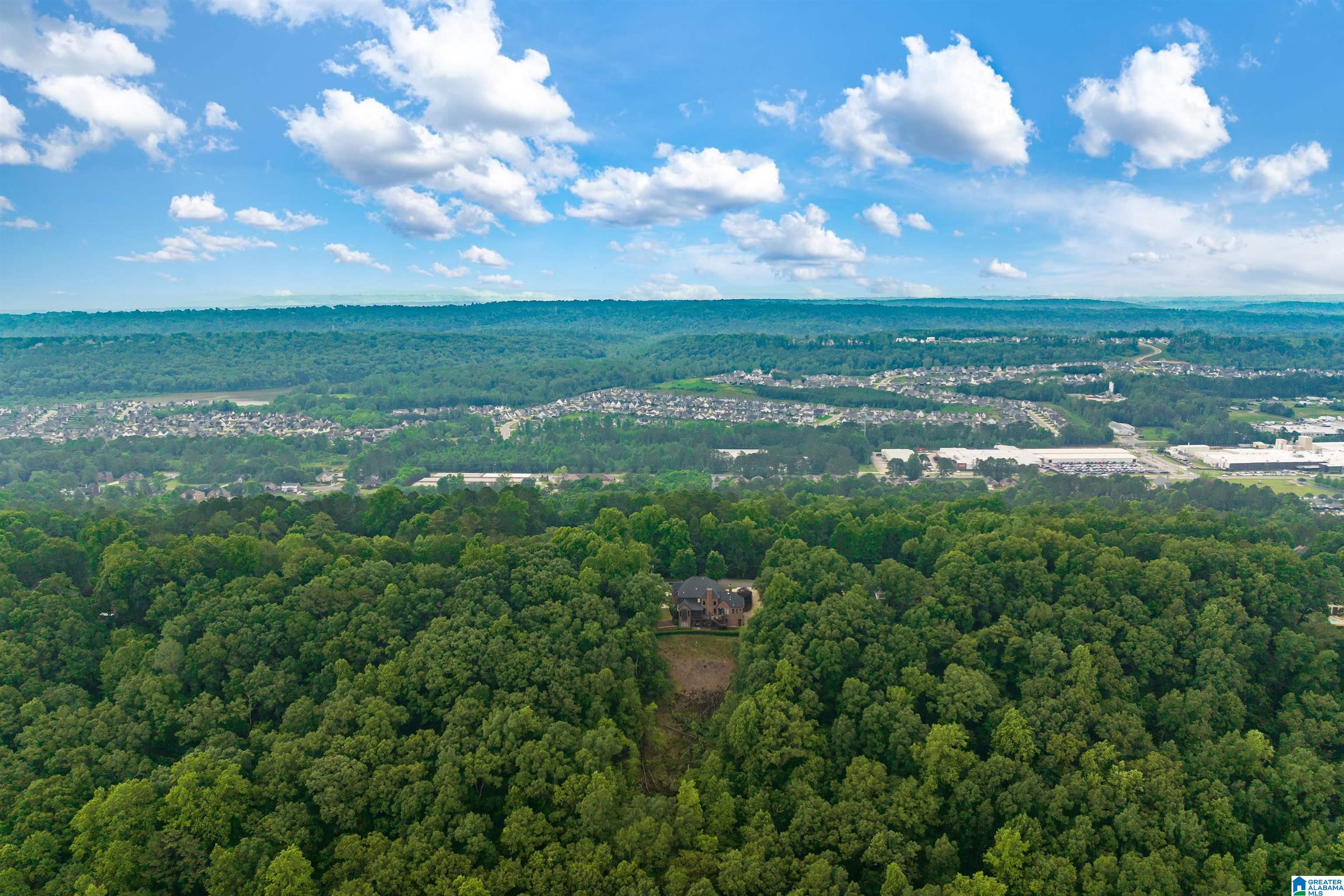 7659 Cottonridge Road Trussville, AL 35173 - Photo 54 of 63