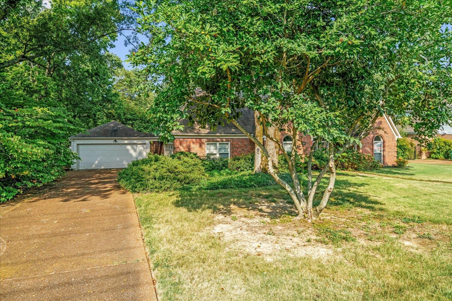 1665 Riverdale Road Germantown, TN 38138 - Photo 5 of 39 a view of a yard with plants and a large tree