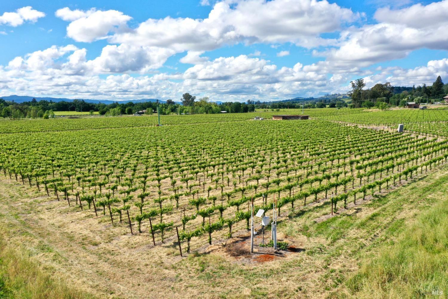 0 Pleasant Avenue Santa Rosa, CA 95403 - Photo 13 of 40 a view of a green field with an outdoor space