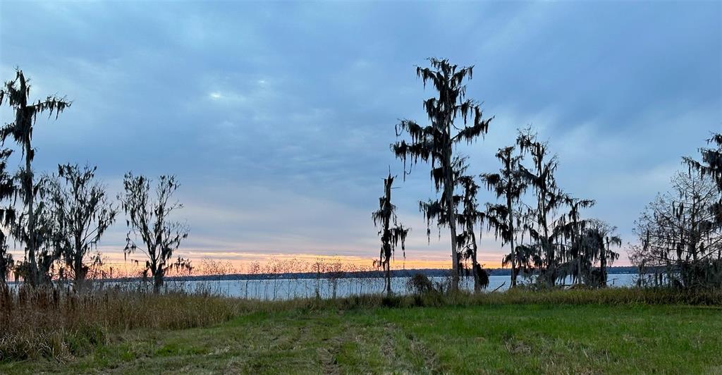 14453 Andalusia Trail Bunnell, FL 32110 - Photo 19 of 23 a view of a garden