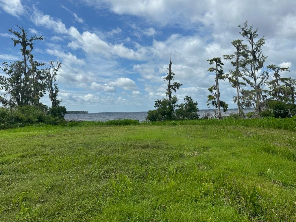 14453 Andalusia Trail Bunnell, FL 32110 - Photo 20 of 23 a view of a big yard with plants and large trees