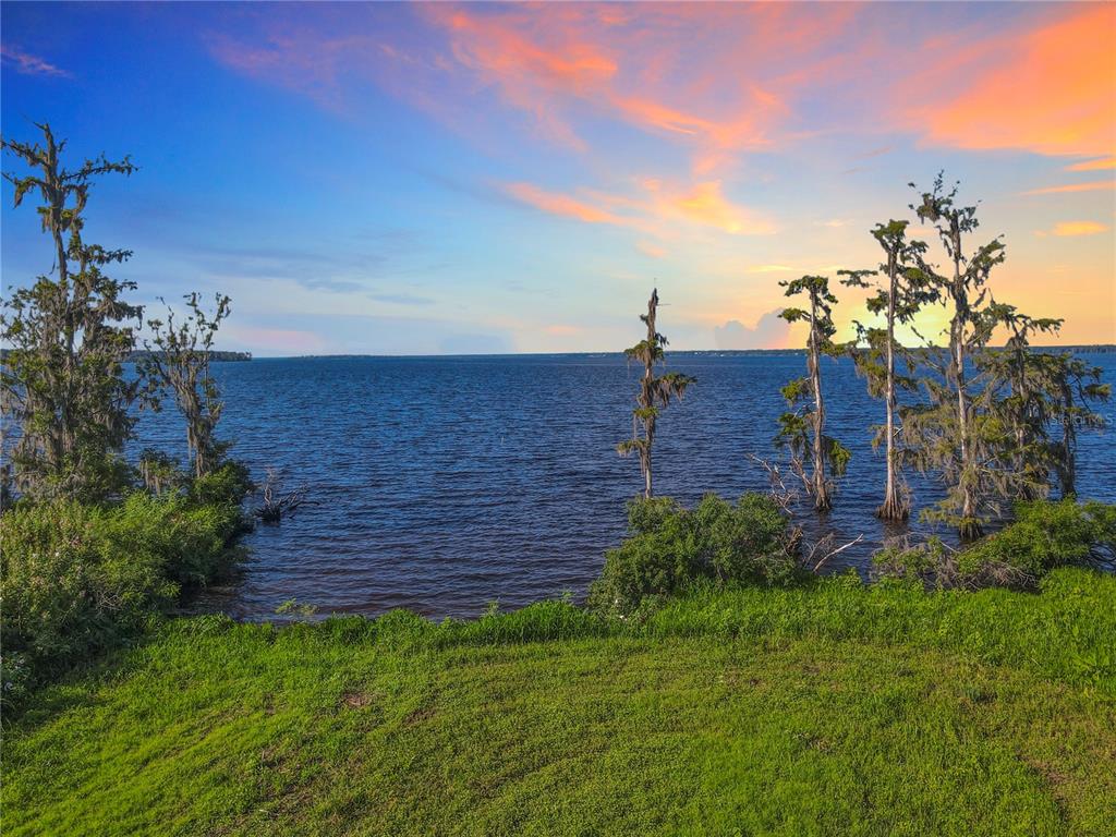 14453 Andalusia Trail Bunnell, FL 32110 - Photo 2 of 23 a view of a backyard