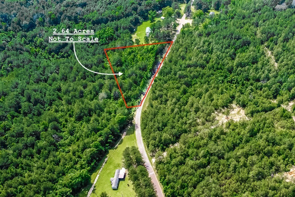 Jerusalem Road Liberty, MS 39645 - Photo 2 of 6 Photo 2