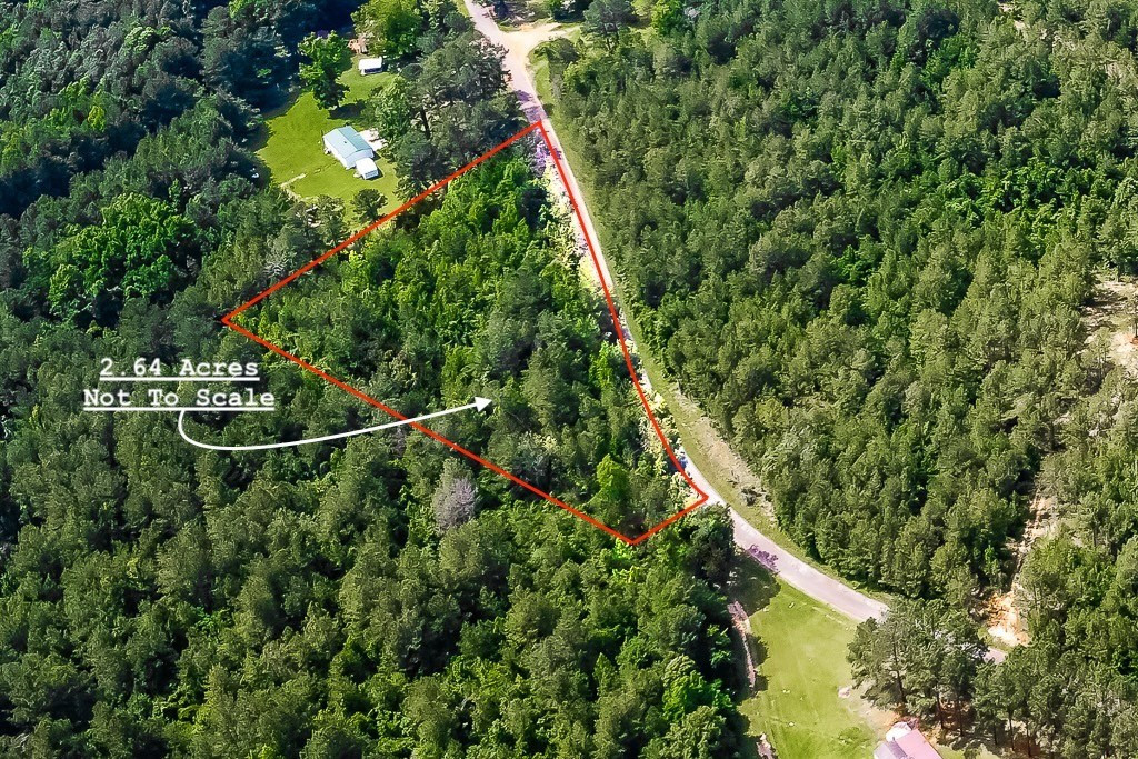 Jerusalem Road Liberty, MS 39645 - Photo 3 of 6 Photo 3