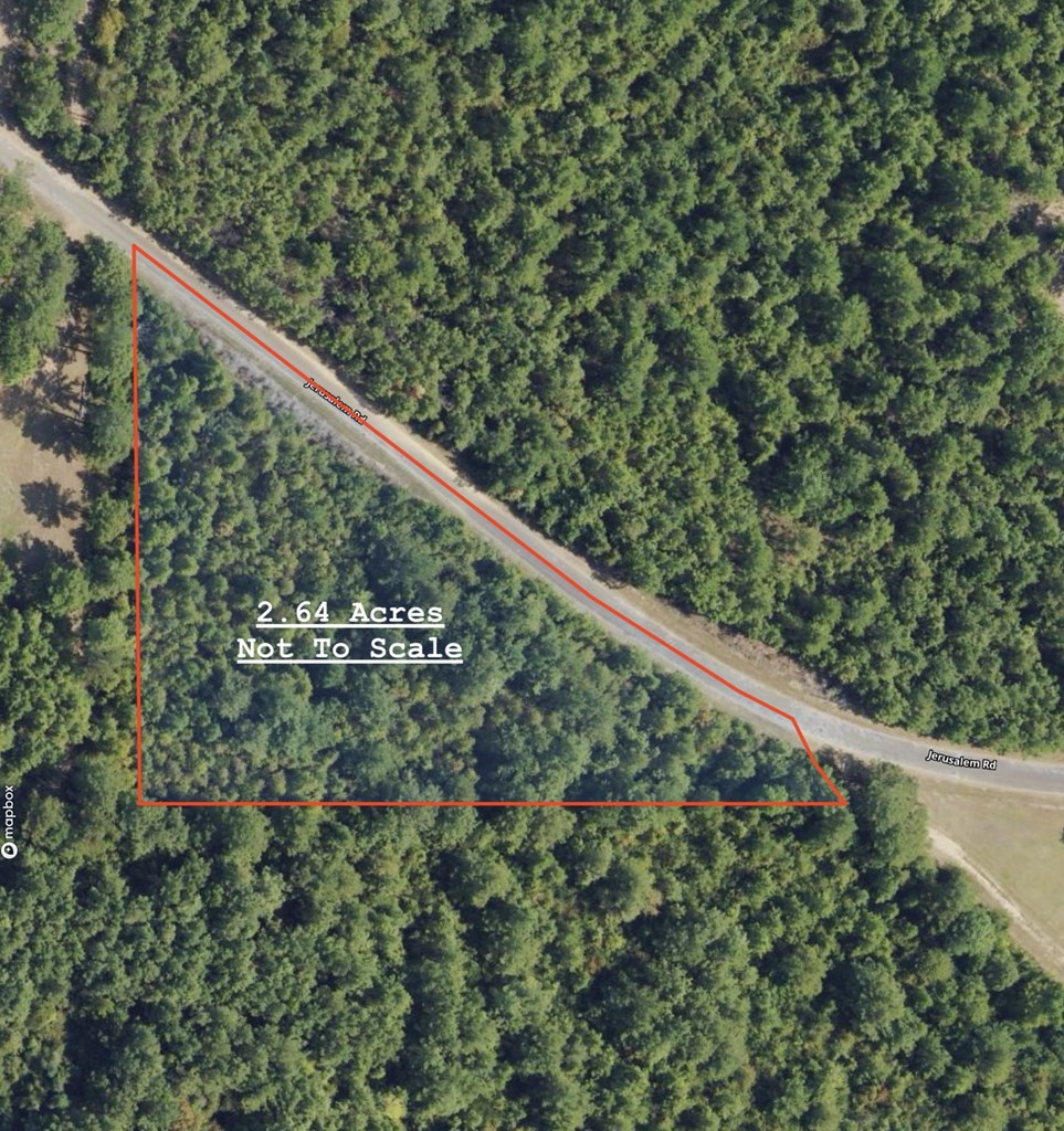 Jerusalem Road Liberty, MS 39645 - Photo 6 of 6 Photo 6