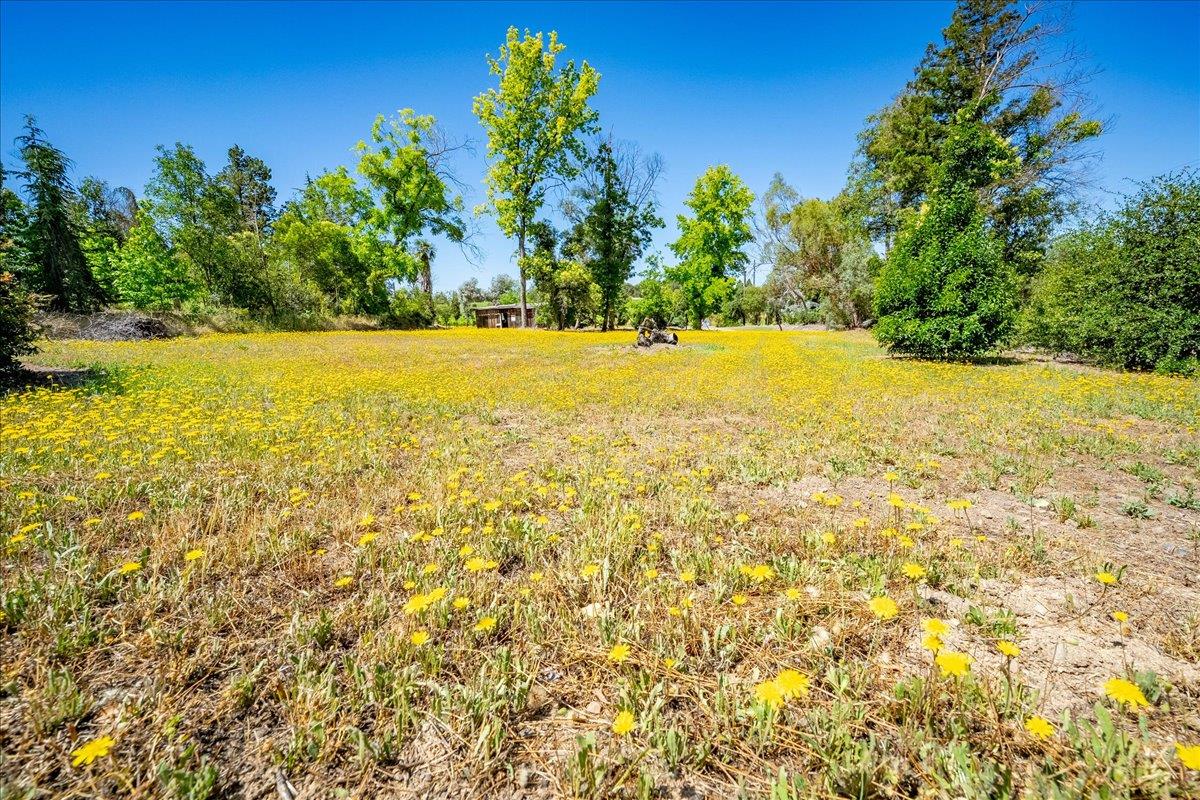 6000 Gold Hill Road Placerville, CA 95667 - Photo 56 of 82