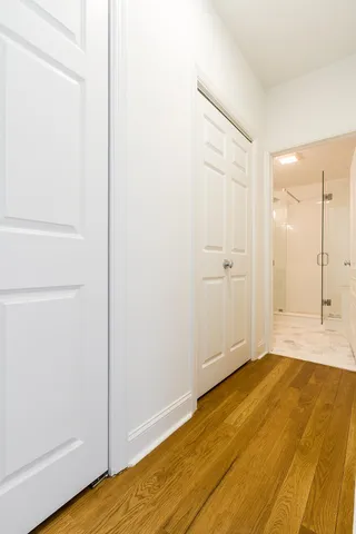 a view of a bathroom with a shower and closet