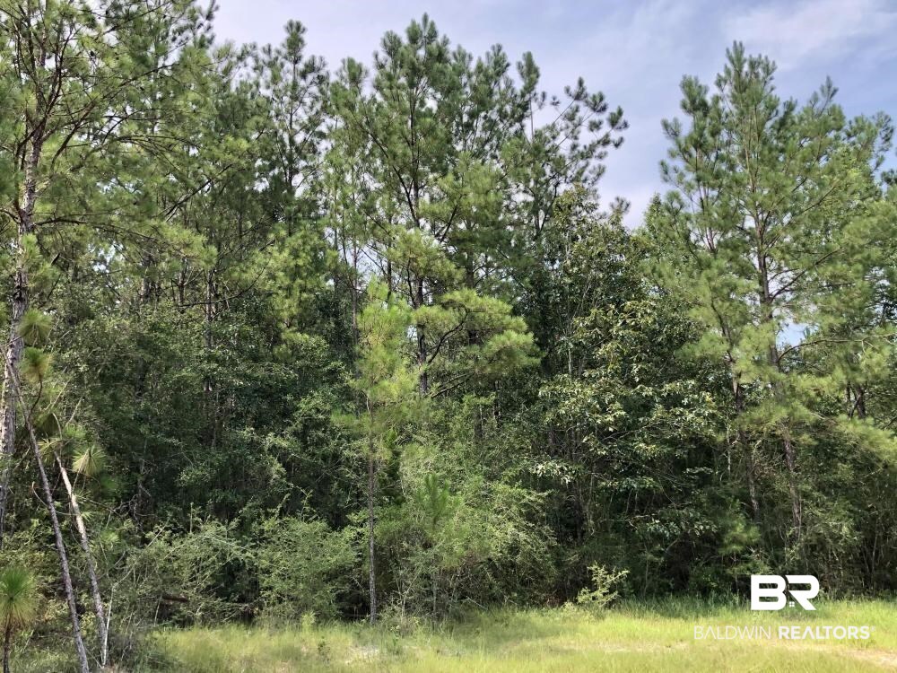 18560 Mason Street Citronelle, AL 36522 - Photo 13 of 45
