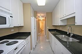 111 East Chestnut Street, Unit 31J Chicago, IL 60611 - Photo 6 of 9 a kitchen with stainless steel appliances granite countertop a sink stove and refrigerator