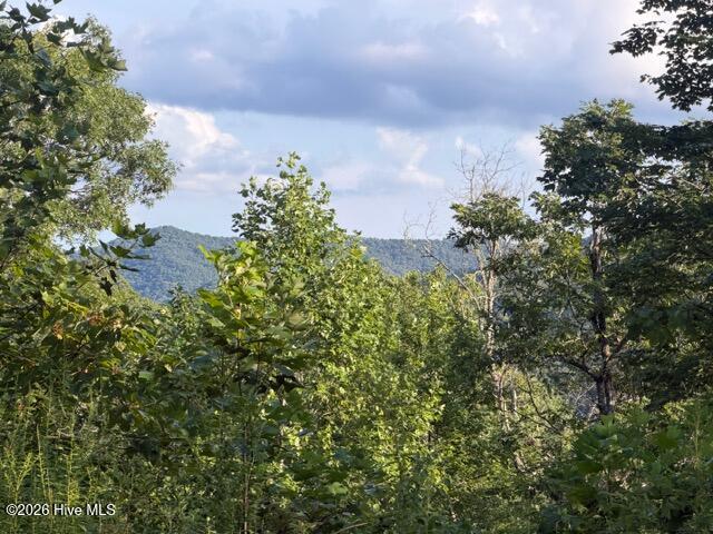 13 Little Choga Road Topton, NC 28781 - Photo 8 of 19 Gallery Image 8