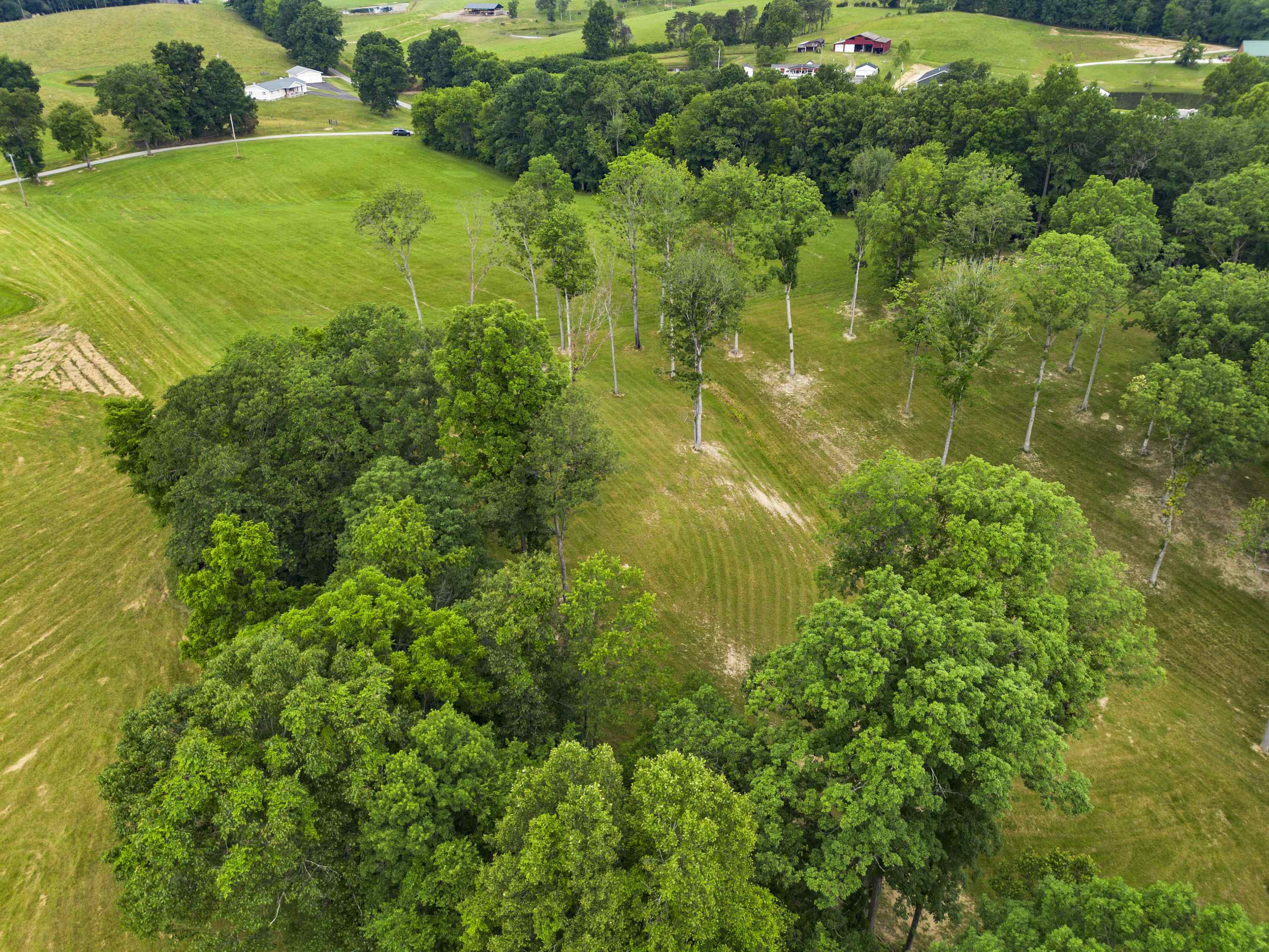 0 Salem Road Grayson, KY 41143 - Photo 6 of 25
