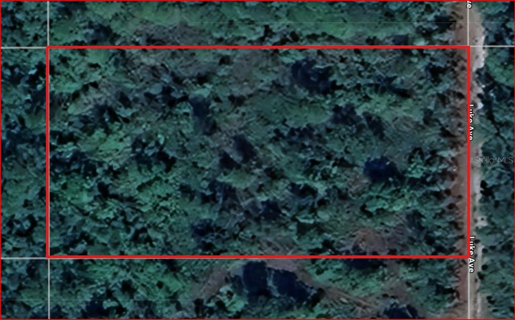 1069 Luke Avenue Hastings, FL 32145 - Photo 2 of 4