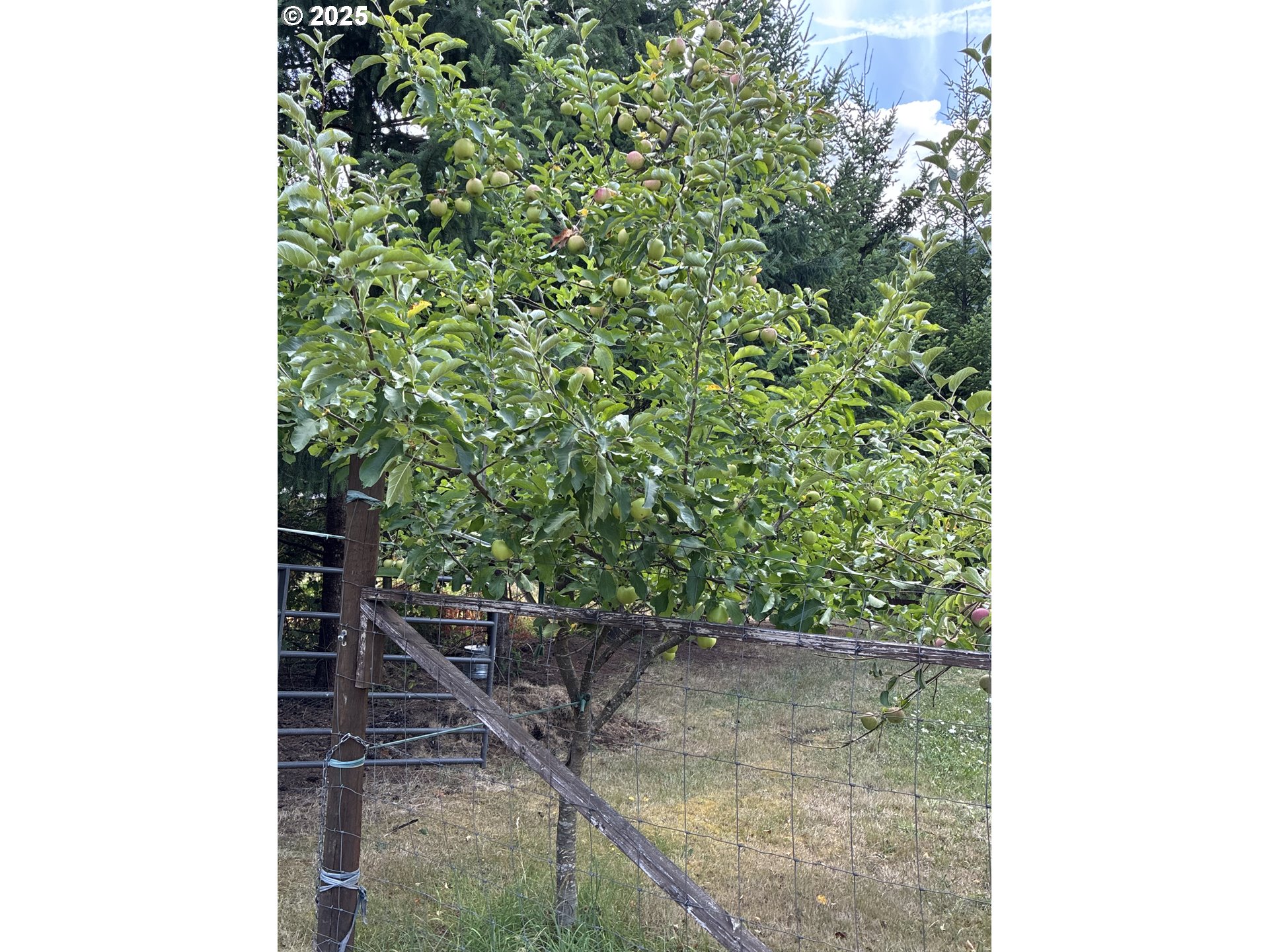 181 Vada Street Carson, WA 98610 - Photo 25 of 30