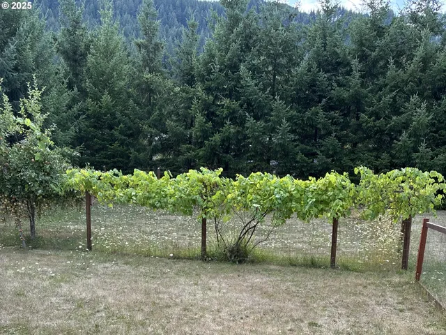 a view of swimming pool with a yard