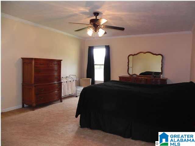 7564 Nisbet Lake Road Jacksonville, AL 36265 - Photo 12 of 23