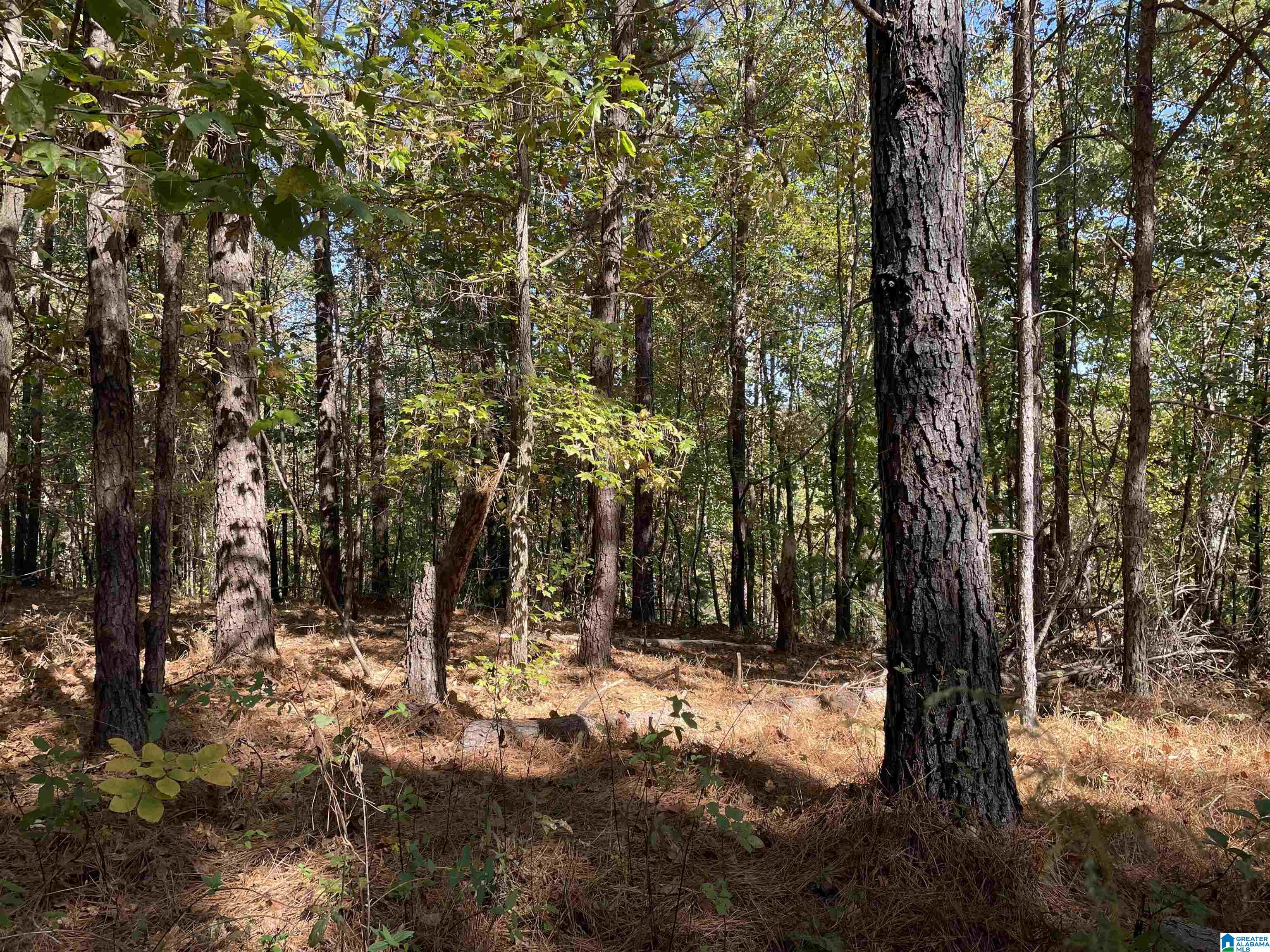 8760 Marsh Mountain Road, Unit 223 Pinson, AL 35126 - Photo 14 of 51