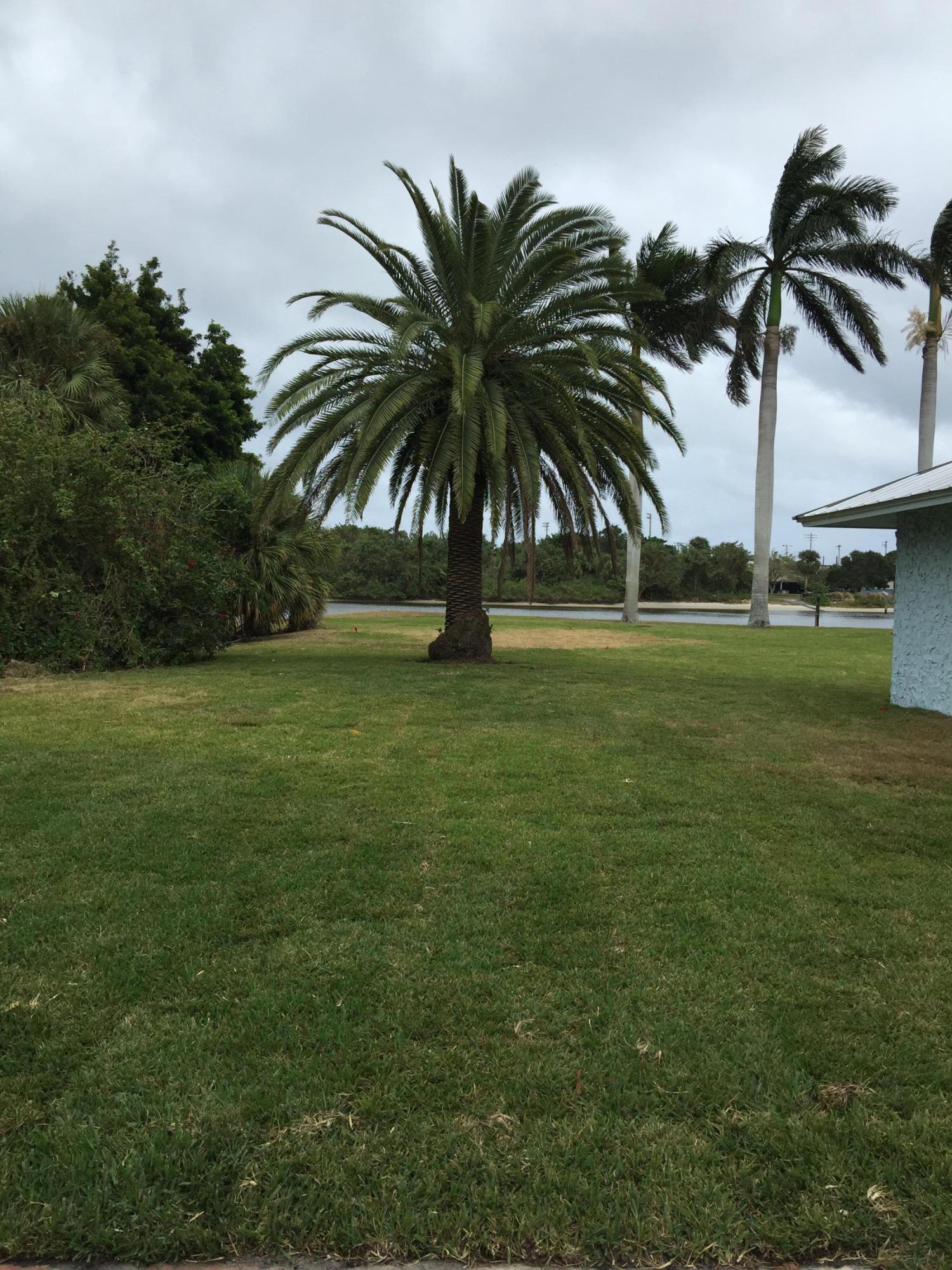 2288 Edward Road Palm Beach Gardens, FL 33410 - Photo 5 of 7 new sod 3